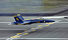 Blue Angel Low