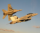 EA-18G and F/A-18F