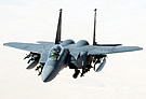 AIR F-15E Armed Schema
