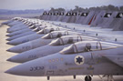 F-15 IDF Kill Lineup