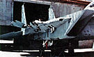 AIR_F-15_IDF_One_Wing_Lander.jpg