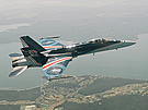 AIR_F-18_RAAF_20th_Anniversary.jpg