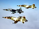 F-5Es