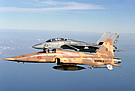F-5E and F-14