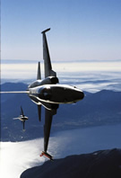 F-5Es Swiss Knife-Edge