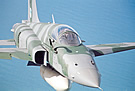 F-5 Brazil