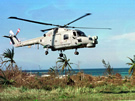 AIR_Lynx_Mk8_Tropical.jpg