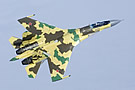 SU-35, 2008