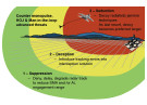 ECM cycle