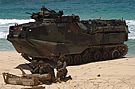 LAND_AAVP7_on_Beach.jpg
