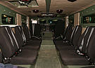 Cougar Interior