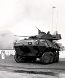 LAV-25 Combat