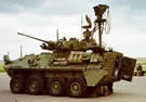 LAND_LAV_Coyote.jpg