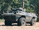 LAND_M1117_ASV_Wooded.jpg