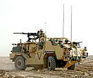 Jackal Helmland