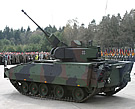 LAND Puma Gun Elevated
