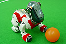 LAND Robot Sony AIBO