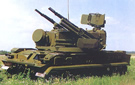 LAND_Tunguska_M1.jpg