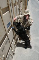 Container Inspection