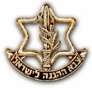 MIL_Israel_Tzahal_Pin.jpg