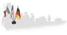MIL_MEADS_Project_Tri-Flag.jpg
