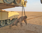 TRX_Trainer