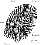 MISC_Fingerprint_Features.gif