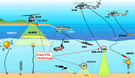 AMCM MH-60 mine sweeping
