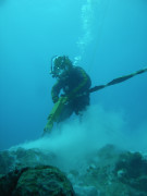 Diver