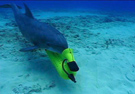 NAVY_Dolphin_Mine_Marker.jpg