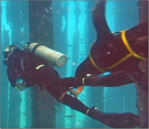 NAVY_Sea_Lion_Patrols_Pier.jpg