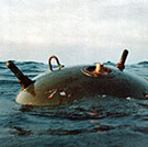 Unexploded Mine