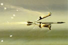 Ammunition APFS-DS Mid-Air