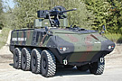 ORD_RWS_Elbit_ORCWS-30_on_Piranha-IV.jpg
