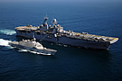 LCS-1 & LHD-6, RIMPAC 2010