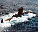 U209 Shishumar