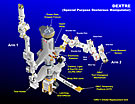 SPAC_ISS_Dextre_Arm.jpg